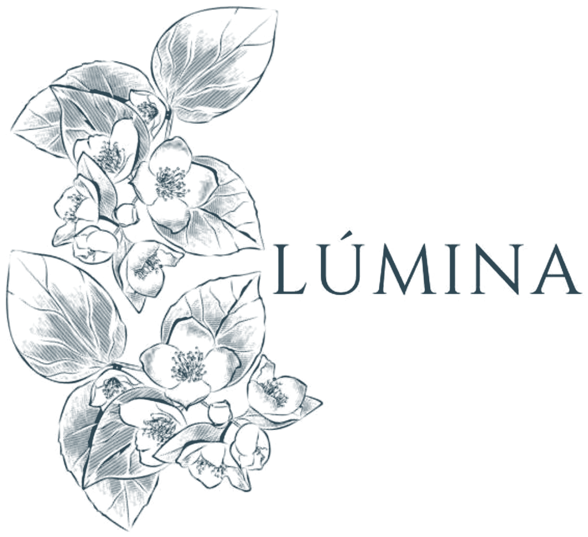 Lúmina